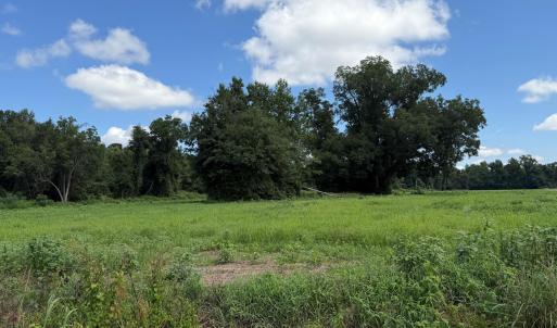 Photo #2 of 6514 Princess Ann, Evergreen, NC 19.6 acres