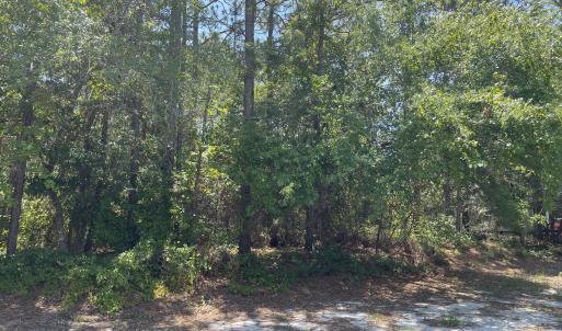 Photo #4 of 158 2nd, Oak Island, NC 0.3 acres