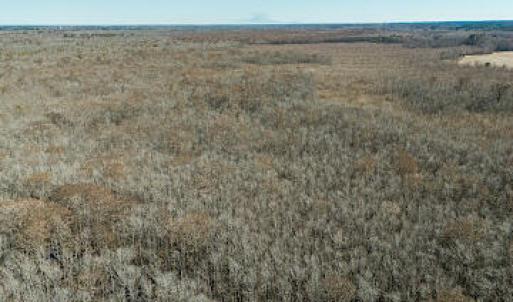 Photo #5 of 1320 Northside, Elizabeth City, NC 22.0 acres