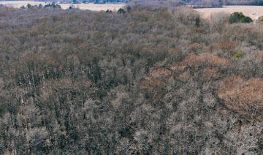 Photo #3 of 1320 Northside, Elizabeth City, NC 22.0 acres