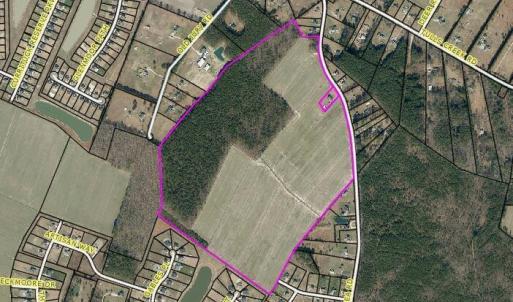 Photo #4 of 138 Guinea, Moyock, NC 141.5 acres