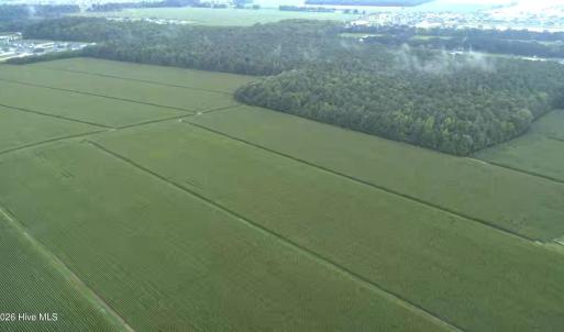 Photo #5 of 138 Guinea, Moyock, NC 141.5 acres