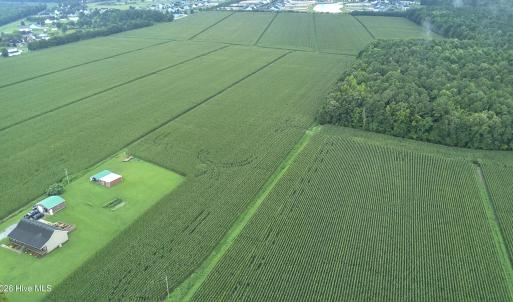 Photo #7 of 138 Guinea, Moyock, NC 141.5 acres