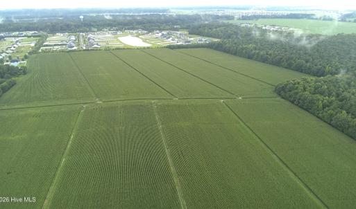 Photo #3 of 138 Guinea, Moyock, NC 141.5 acres