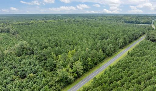Photo #5 of Stilley Town, Edward, NC 42.0 acres