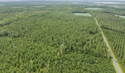 Photo #7 of Stilley Town, Edward, NC 42.0 acres
