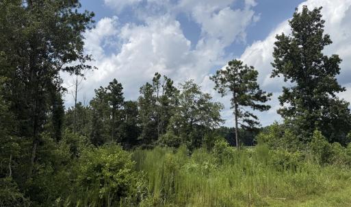 Photo #10 of Stilley Town, Edward, NC 42.0 acres