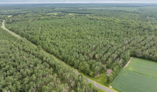 Photo #1 of Stilley Town, Edward, NC 42.0 acres