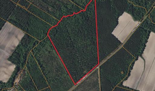 Photo #3 of Stilley Town, Edward, NC 42.0 acres