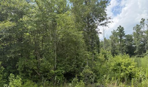 Photo #11 of Stilley Town, Edward, NC 42.0 acres