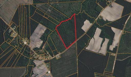 Photo #9 of Stilley Town, Edward, NC 42.0 acres