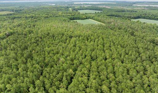 Photo #8 of Stilley Town, Edward, NC 42.0 acres
