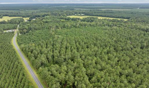 Photo #4 of Stilley Town, Edward, NC 42.0 acres