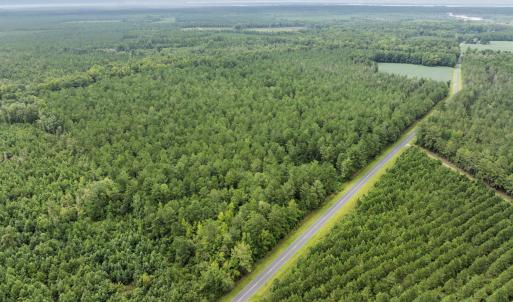 Photo #6 of Stilley Town, Edward, NC 42.0 acres