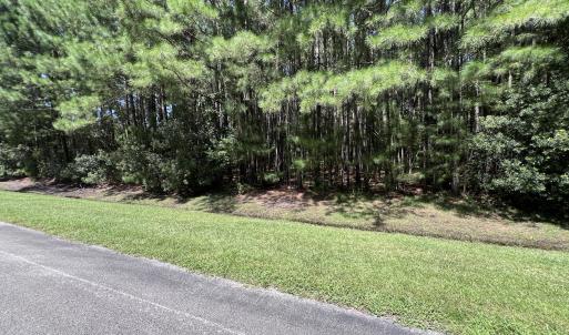 Photo #2 of Lot#43,43a Windy, Belhaven, NC 4.0 acres