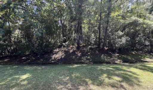 Photo #4 of Lot#43,43a Windy, Belhaven, NC 4.0 acres