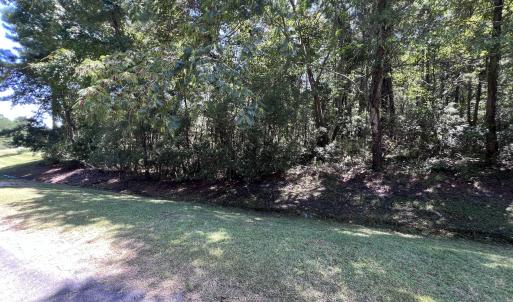 Photo #3 of Lot#43,43a Windy, Belhaven, NC 4.0 acres
