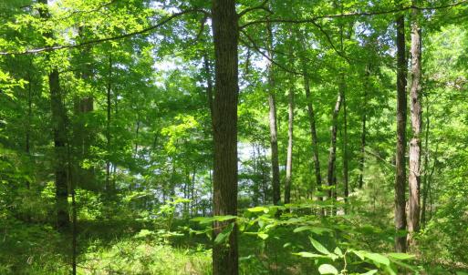 Photo #12 of 205 Rolland, McCormick, SC 0.7 acres
