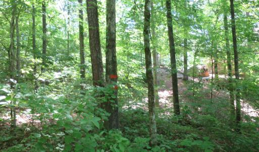 Photo #5 of 205 Rolland, McCormick, SC 0.7 acres