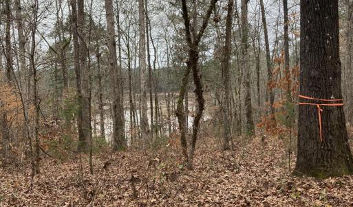 Photo #9 of 205 Rolland, McCormick, SC 0.7 acres
