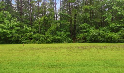 Photo #6 of 206 Culpeper, New Bern, NC 0.7 acres