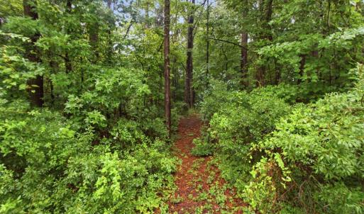 Photo #21 of 206 Culpeper, New Bern, NC 0.7 acres