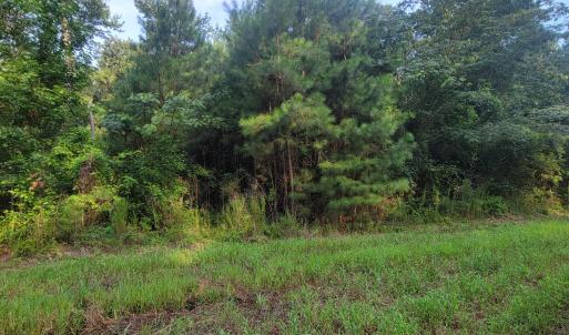Photo #2 of Lot 1 Sr 1178, Chocowinity, NC 3.4 acres
