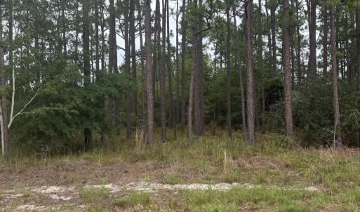 Photo #2 of Lot 3 Crystal Road, Southport, NC 0.4 acres