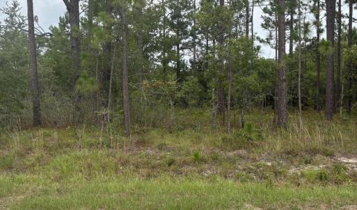Photo #1 of Lot 4 Crystal, Southport, NC 0.4 acres