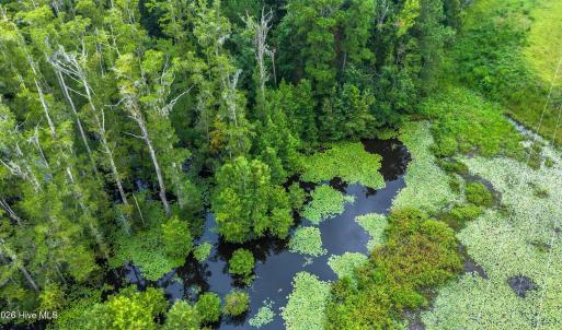 Photo #10 of 3695 River Park, Leland, NC 1.6 acres