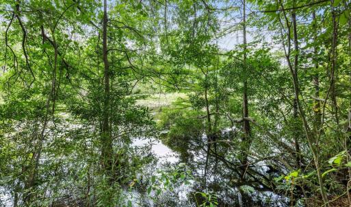 Photo #9 of 3695 River Park, Leland, NC 1.6 acres