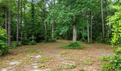 Photo #5 of 3695 River Park, Leland, NC 1.6 acres