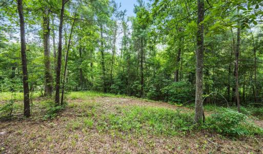 Photo #6 of 3695 River Park, Leland, NC 1.6 acres