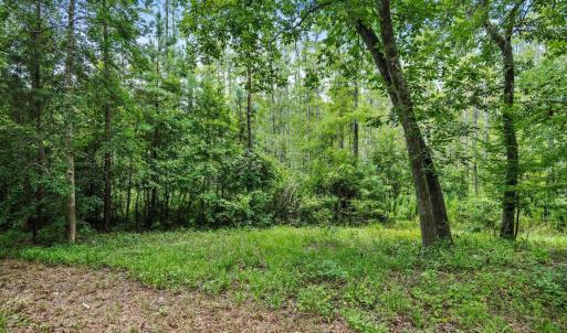 Photo #8 of 3695 River Park, Leland, NC 1.6 acres