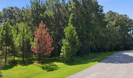 Photo #1 of 9325 Doris, Oriental, NC 0.8 acres