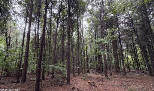 Photo #6 of Mills, Goldsboro, NC 15.8 acres