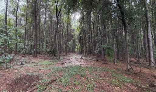 Photo #8 of Mills, Goldsboro, NC 15.8 acres