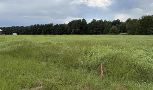 Photo #2 of Mills, Goldsboro, NC 15.8 acres