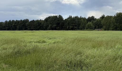 Photo #3 of Mills, Goldsboro, NC 15.8 acres