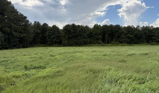 Photo #4 of Mills, Goldsboro, NC 15.8 acres