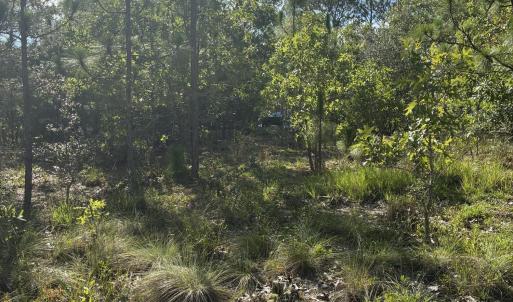 Photo #8 of 98 Fairway, Southport, NC 0.5 acres