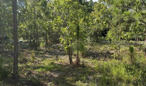 Photo #7 of 98 Fairway, Southport, NC 0.5 acres