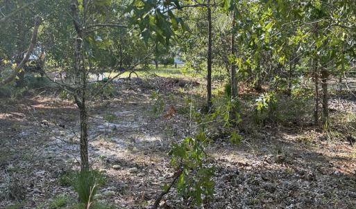 Photo #6 of 98 Fairway, Southport, NC 0.5 acres