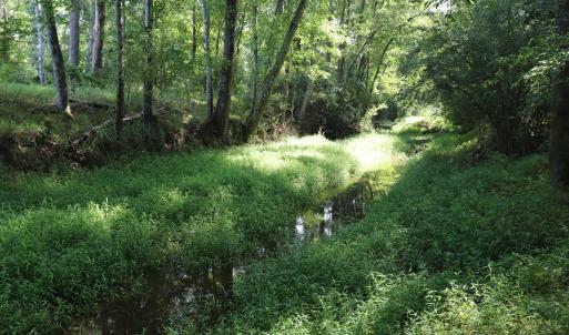 Photo #20 of Tbd Martin Luther King Junior, Bladenboro, NC 13.5 acres