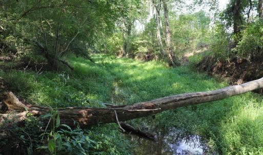 Photo #21 of Tbd Martin Luther King Junior, Bladenboro, NC 13.5 acres
