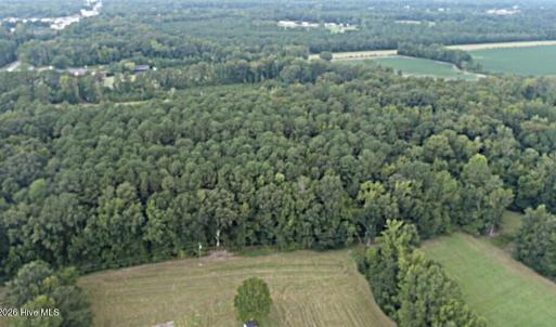 Photo #4 of Tbd Martin Luther King Junior, Bladenboro, NC 13.5 acres