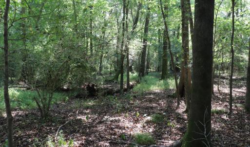 Photo #15 of Tbd Martin Luther King Junior, Bladenboro, NC 13.5 acres