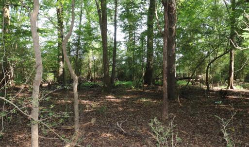 Photo #14 of Tbd Martin Luther King Junior, Bladenboro, NC 13.5 acres