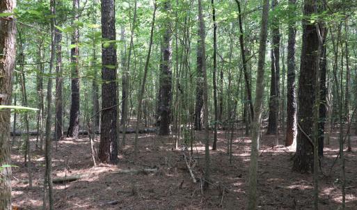 Photo #7 of Tbd Martin Luther King Junior, Bladenboro, NC 13.5 acres