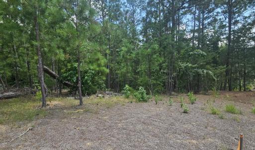 Photo #2 of Lot 2 Amelia, McCormick, SC 0.5 acres